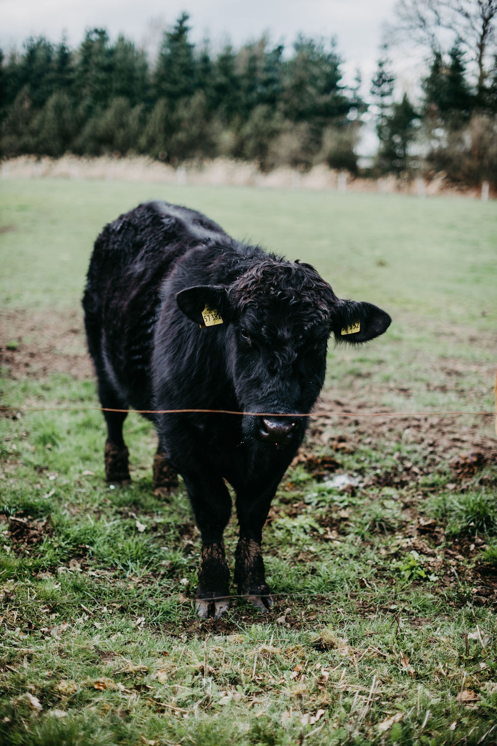 audele-fotografie-hochzeit-reportage-vorbereitung-und-fest (47)
