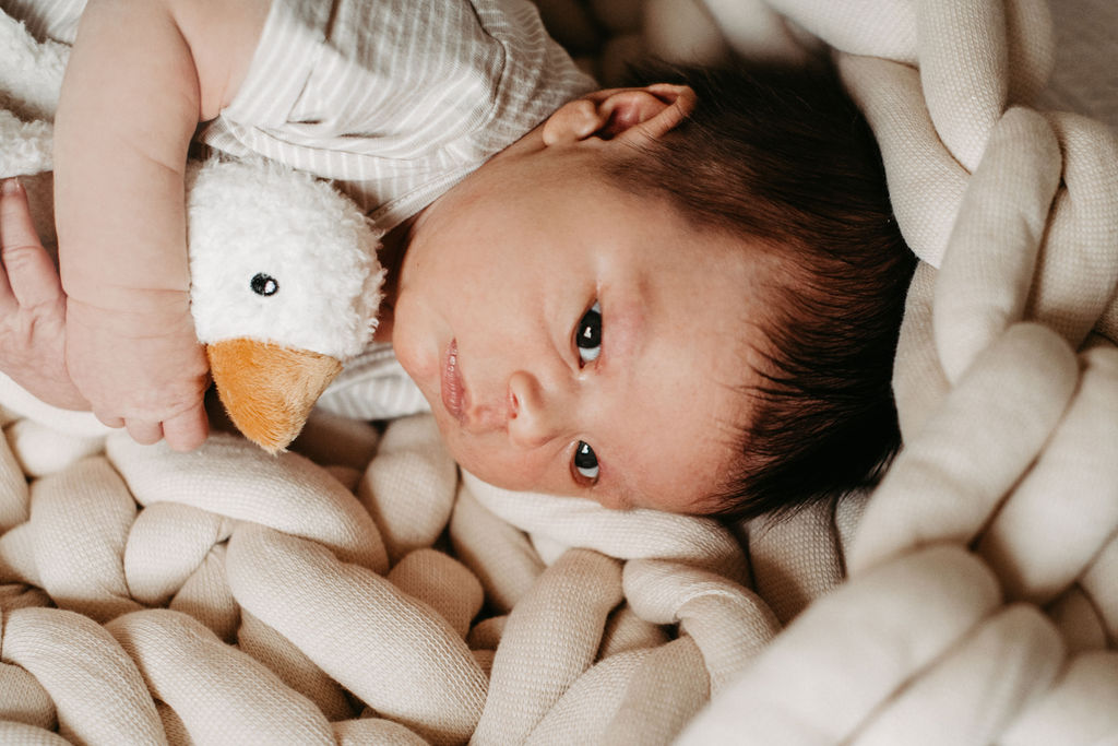 audele-fotografie-neugeborene-im-nest (5)
