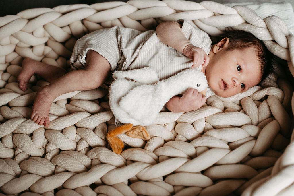 audele-fotografie-neugeborene-im-nest (6)